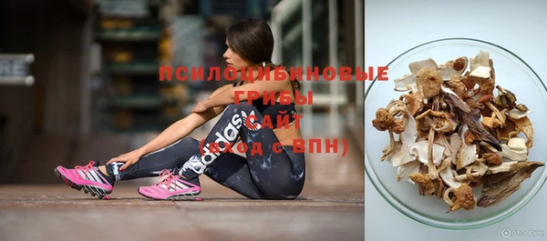 наркотики Горняк