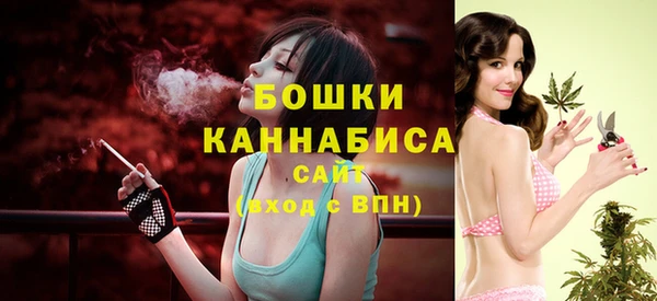 стафф Пересвет