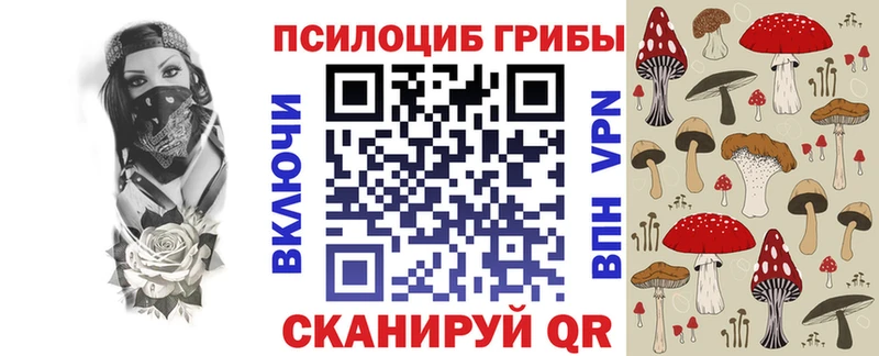 Купить  Козловка  Псилоцибиновые грибы GOLDEN TEACHER 